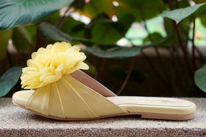 Fancy Flats in Butter