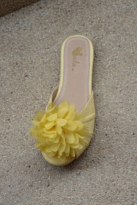 Fancy Flats in Butter