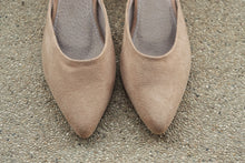 Load image into Gallery viewer, The Mules in Sand